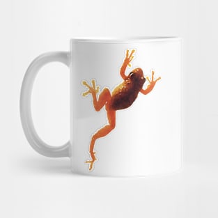 Spring Peeper Frog Mug